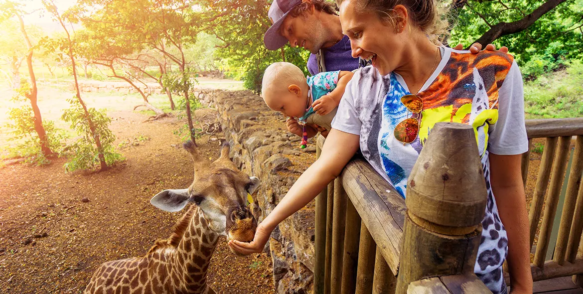 Choisir les activités au zoo en famille